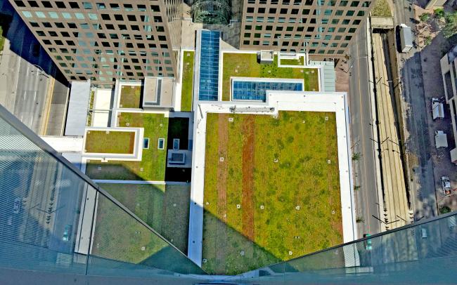 Sedum roofs from bird's eye view